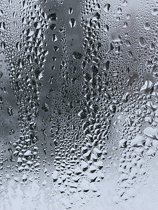 water droplets, Drops, Glass, Surface HD wallpaper