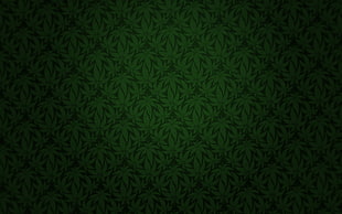 green and black cannabis leaf print wallpaper HD wallpaper