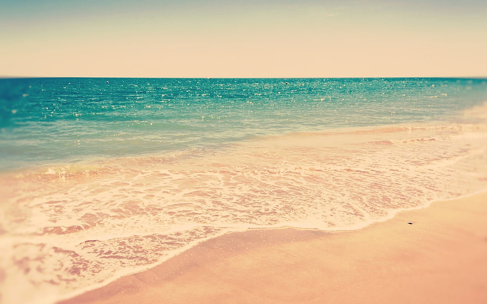 seashore, beach, sand HD wallpaper