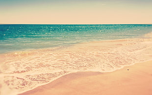 seashore, beach, sand