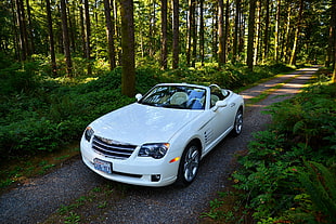 white convertible coupe parked on gray road between tree-covered fields
