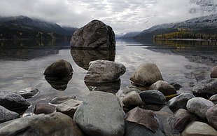 gray rocks, lake, landscape, rock