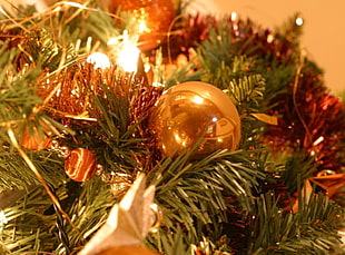 closeup photography of gold bauble with string lights HD wallpaper