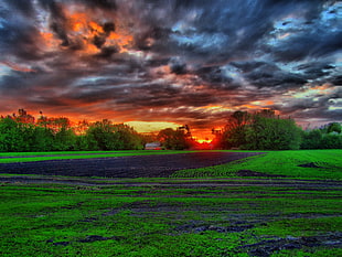 dark clouds over green field wallpaper, HDR, landscape, clouds, sunset HD wallpaper