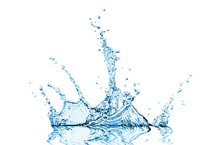 splash of water, minimalism, white background, water, water drops