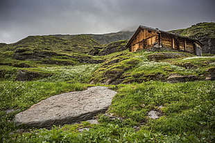 brown wooden house, landscape, grass, rock HD wallpaper