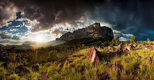 rocky mountain, nature, landscape, mountains, grass HD wallpaper