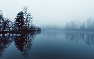 body of water surrounded by trees covered with fog