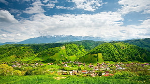 mountain covered with green trees, landscape, hills, village, mountains