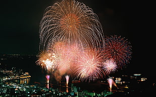 aerial photo of fireworks display