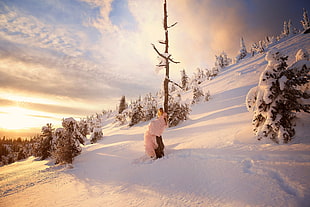 green pine tree, snow, sky, winter, landscape HD wallpaper