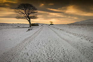 snowy road photo HD wallpaper