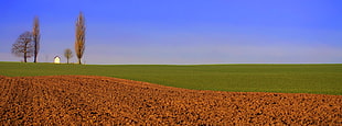 landscape photography of green plain land, heron, belgium HD wallpaper