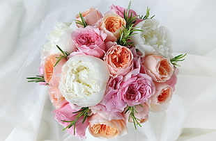 white, orange, and pink flower buffet
