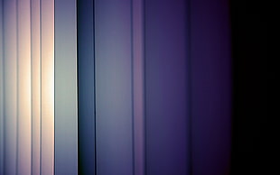 multicolored line digital wallpaper