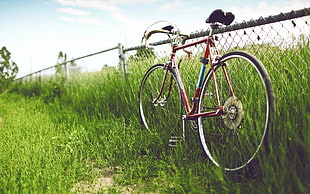 red road bicycle HD wallpaper
