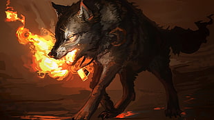 wolf illustration, fire, wolf