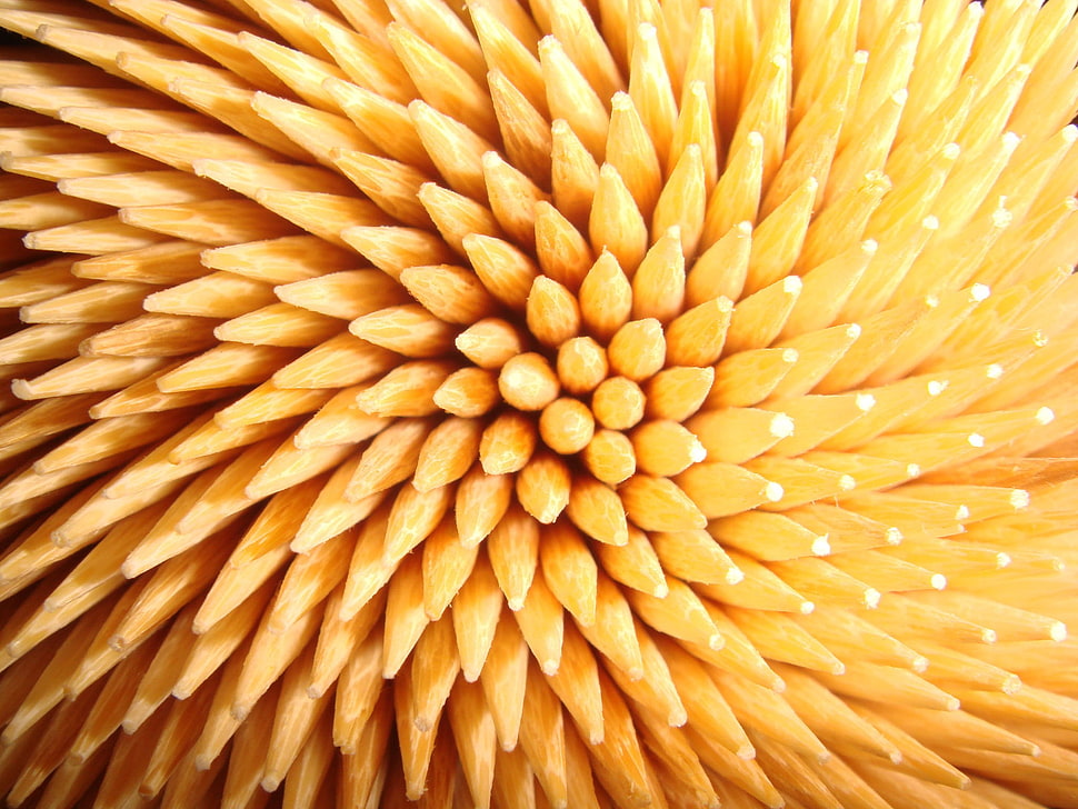 beige artwork digital wallpaper, Fibonacci sequence HD wallpaper