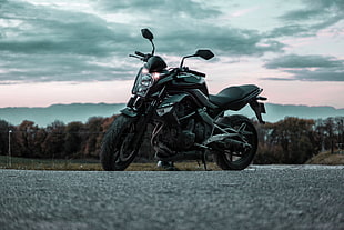 black naked motorcycle, Motorcycle, Side view, Road