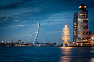 black building, blue, dark, Rotterdam, lights HD wallpaper