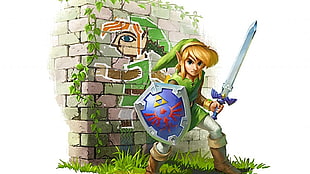 Legend of Zelda League illustration, The Legend of Zelda, sword, shield, wall HD wallpaper