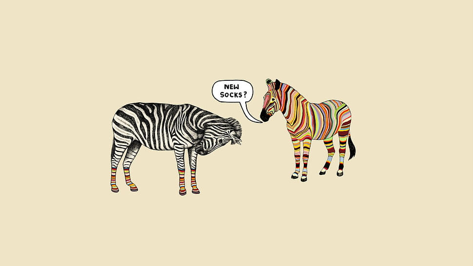 two zebra animal illustration, zebras, minimalism HD wallpaper