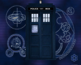 brown Police Box Police Call phone booth, Doctor Who, TARDIS
