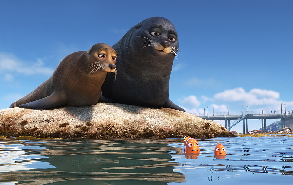 Disney Pixar Finding Dory movie scene HD wallpaper
