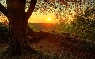 concrete stone wall during sunset HD wallpaper