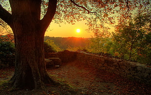 concrete stone wall during sunset