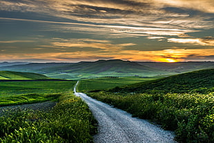 gray concrete road, road, sunset, field, Italy HD wallpaper