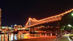 cable bridge with strip LED lights, bridge, landscape, architecture HD wallpaper