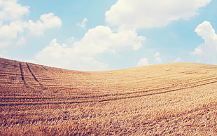 brown grass field, landscape, sky, field, clouds