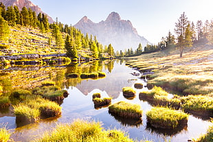 body of water surrounded by grasses and trees landmark, dolomites HD wallpaper