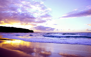 sunrise scenery of beach shore