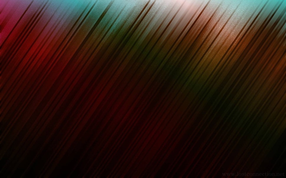 multicolored wallpaper HD wallpaper