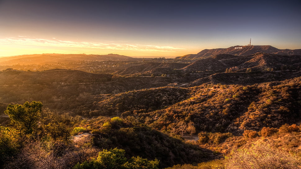 green trees, landscape HD wallpaper