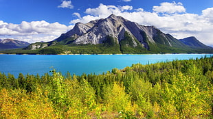 mountain near body of water, landscape, mountains, trees, nature