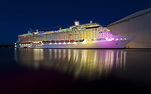 white Silhouette cruiser, sea, lights, ship, night