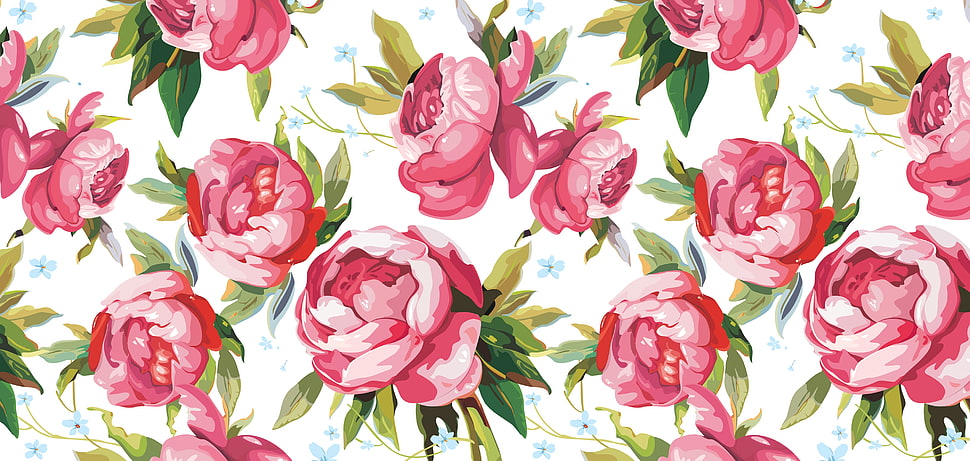 pink and white flowers HD wallpaper