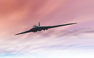 black airplane