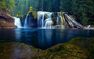 waterfalls, forest, waterfall, nature HD wallpaper