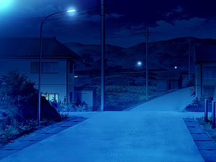 empty street at night, night, road, house, hills