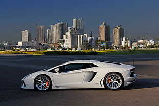 white sports car, car, Lamborghini, Lamborghini Aventador, white