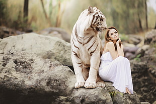 white tiger and white sleeveless dress