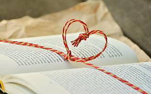 tilt-sift lens photography of hear knotted string between opened book pages