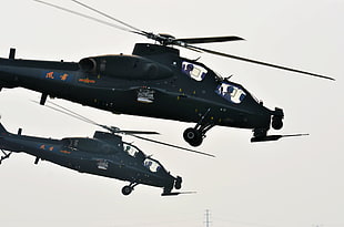 black fighter helicopters