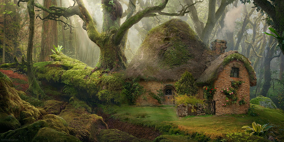 brown hobbit house, house, nature, forest, fantasy art HD wallpaper