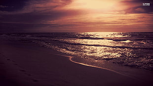 gray sand and body of water, beach, sunlight, nature, sky