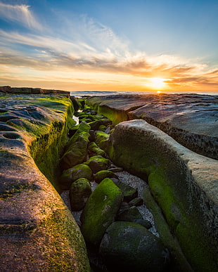 green moss forming on rocks located in the middle of a trench near body of water under stratus clouds during daytime HD wallpaper